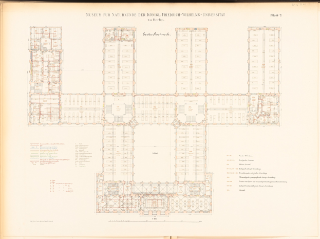 Offenes Buch mit detailliertem Grundriss eines Naturhistorischen Museums, einschließlich Räumen, Fluren, Fenstern und Türen, mit begleitendem Text, der den Aufbau des Gebäudes beschreibt.