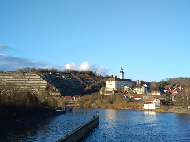 Ein malerischer Blick auf den Rhein in Deutschland, mit einer Brücke, die den Fluss überspannt, Laternen an den Ufern, Bäumen und Gebäuden entlang der Flussufer und einem Hügel im Hintergrund bei einer bewölkten Himmel.