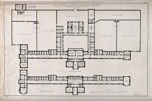 Schwarze und weiße architektonische Grundrisszeichnung eines großen Gebäudes mit zahlreichen beschrifteten Räumen, darunter ein als Criminal Lunatic Asylum bezeichnetes Segment.