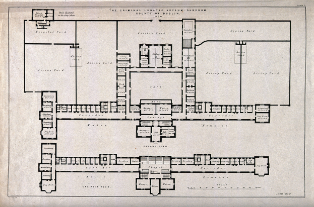 Schwarze und weiße architektonische Grundrisszeichnung eines großen Gebäudes mit zahlreichen beschrifteten Räumen, darunter ein als Criminal Lunatic Asylum bezeichnetes Segment.