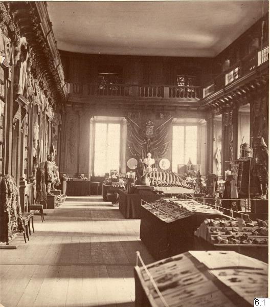 Schwarz-weiß-Fotografie eines Museumsraums mit zahlreichen Tischen, Stühlen, Skulpturen an den Wänden, Fenstern, Vorhängen, Geländern und anderen Gegenständen, mit Text unten lesend "Das Museum of Fine Arts, London".