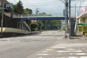 Eine Stadtstraße mit einer Fußgängerbrücke darüber, Fahrzeuge auf der Straße, Strommasten mit Kabeln, Ampeln, Schilder, Gebäude, Bäume und ein Himmel im Hintergrund.