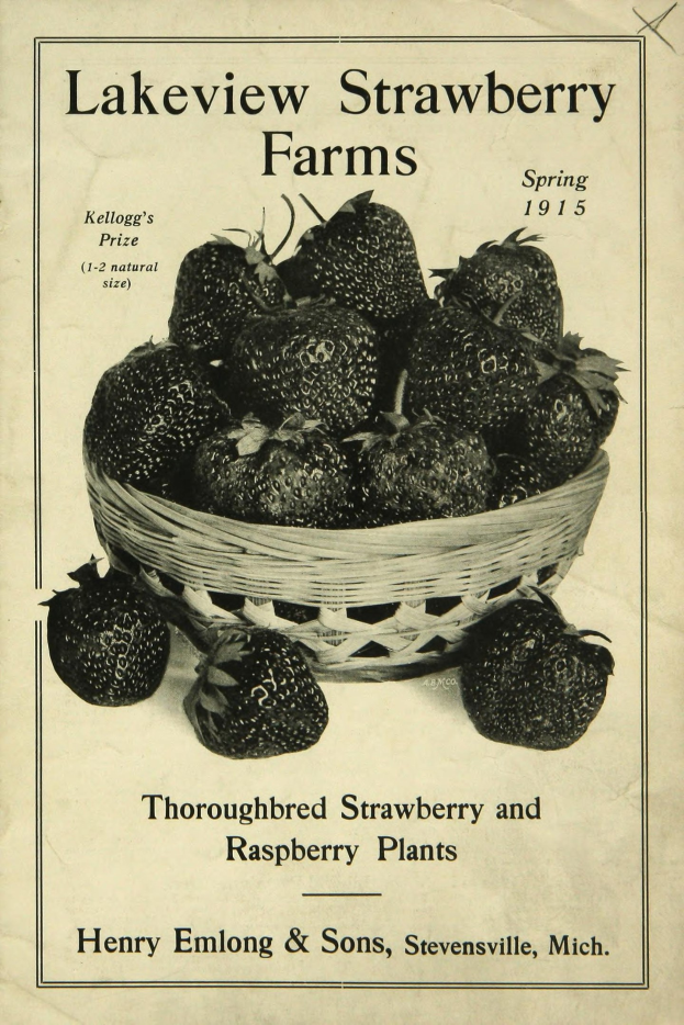 Plakat aus Frühjahr 1915, das Lakeview Erdbeerfarmen bewirbt, zeigt einen Korb reifer roter Erdbeeren und den Text "Zuchtst├Ąmme Erdbeer- und Himbeerpl├Ąnze."