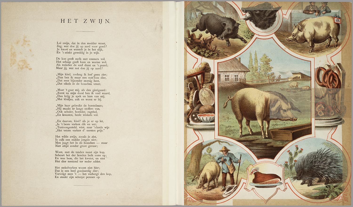 Offenes Buch mit Abbildungen von Schweinen, Hühner und anderen Bauernhoftieren, mit Text auf der linken Seite.