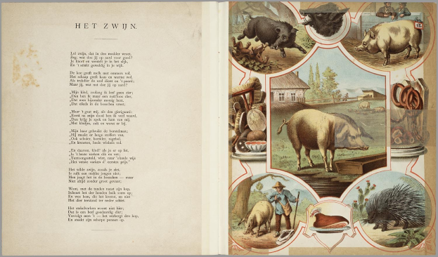 Offenes Buch mit Abbildungen von Schweinen, Hühner und anderen Bauernhoftieren, mit Text auf der linken Seite.