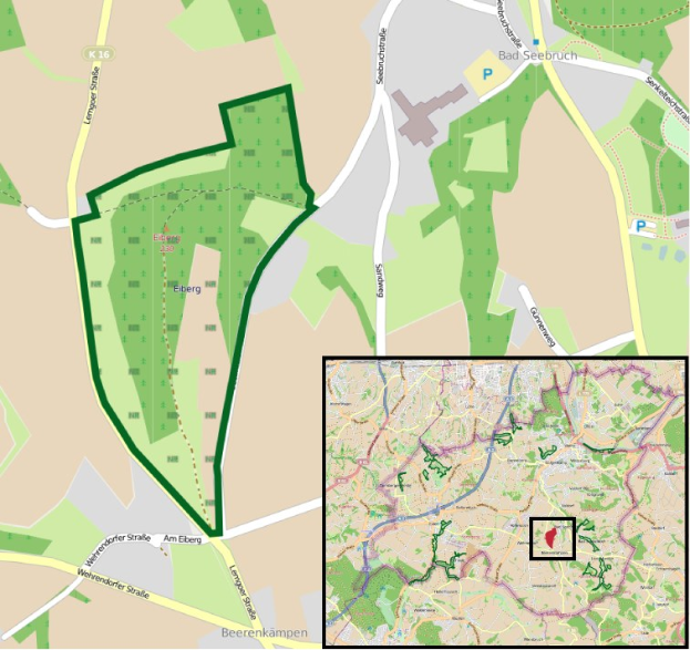 Eine detaillierte Stadtkarte, die einen zentralen grünen Bereich als geplanten Entwicklungsstandort markiert, mit umliegenden Straßen, Gebäuden und Sehenswürdigkeiten.