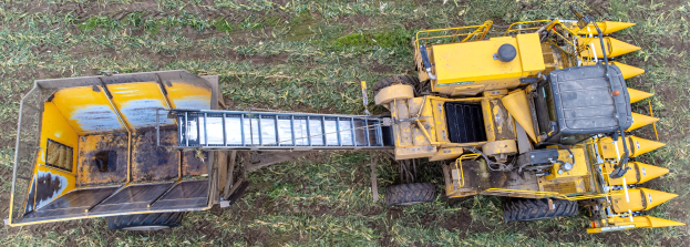 Luftaufnahme eines gelben Mähdreschers bei der Arbeit in einem grünen Grasfeld.