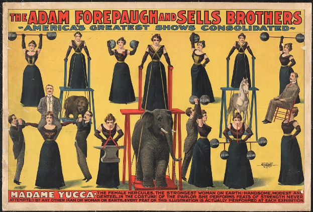Plakat für Adam Forepaugh und Sells Brothers, Americas Greatest Shows Consolidated, das eine Gruppe von Menschen auf Hockern zeigt, einige halten Gegenstände, und ein Elefant in der Mitte, begleitet von Text.
