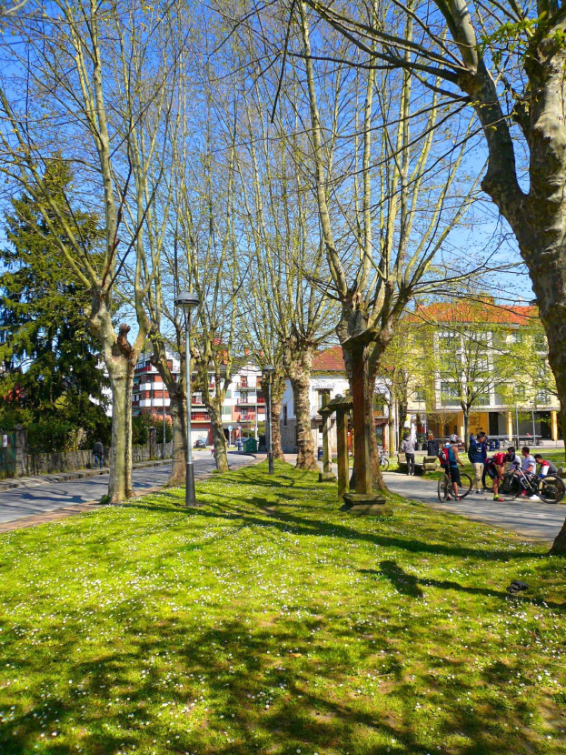 Ein Park mit grünem Gras und Bäumen, Menschen, die spazieren gehen und Fahrräder fahren, mit Gebäuden und einem klaren blauen Himmel im Hintergrund.