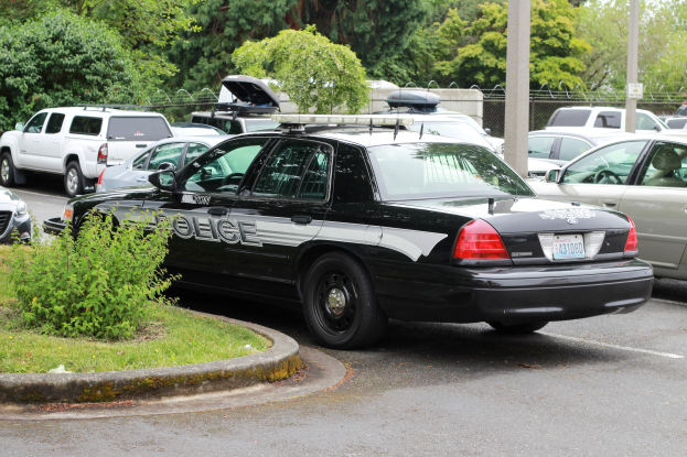 Ein Polizeiwagen auf einem Parkplatz mit anderen Fahrzeugen umgeben von Gruen, Pfosten und einem Maschendrahtzaun unter einem klaren blauen Himmel.