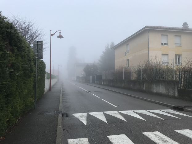 Eine nebelige Straße mit einem Zebrastreifen, Bäumen auf der linken Seite, Gebäuden auf der rechten Seite und beleuchteten Straßenlaternen im Hintergrund.