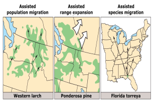 Ein Plakat mit einer USA-Karte, das verschiedene Arten von Bevölkerungswanderung zeigt und von erklärendem Text begleitet wird.