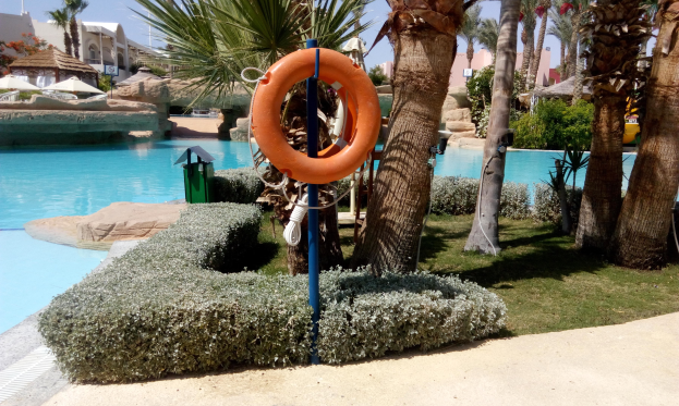 Ein Schwimmbad mit einem Schwimmring in der Mitte, umgeben von grünem Gras, Pflanzen und Bäumen, mit Gebäuden, Sonnenschirmen und einem klaren blauen Himmel im Hintergrund.