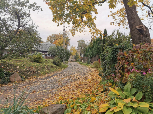 Ein Schotterweg, gesäumt von Bäumen und Büschen im Herbst, mit bunten Blättern auf dem Boden, Gebäuden, Pfosten und einem sichtbaren Himmel im Hintergrund und Pflanzen mit Blumen auf der rechten Seite.